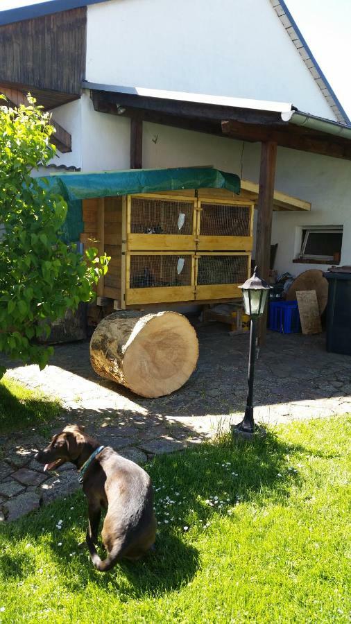 Ferienwohnung Rucksack-Bimbes Altendiez Εξωτερικό φωτογραφία